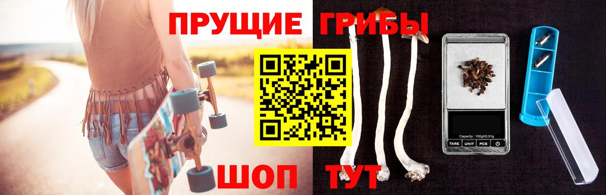 Галлюциногенные грибы GOLDEN TEACHER  Вход с VPN  Кинель 