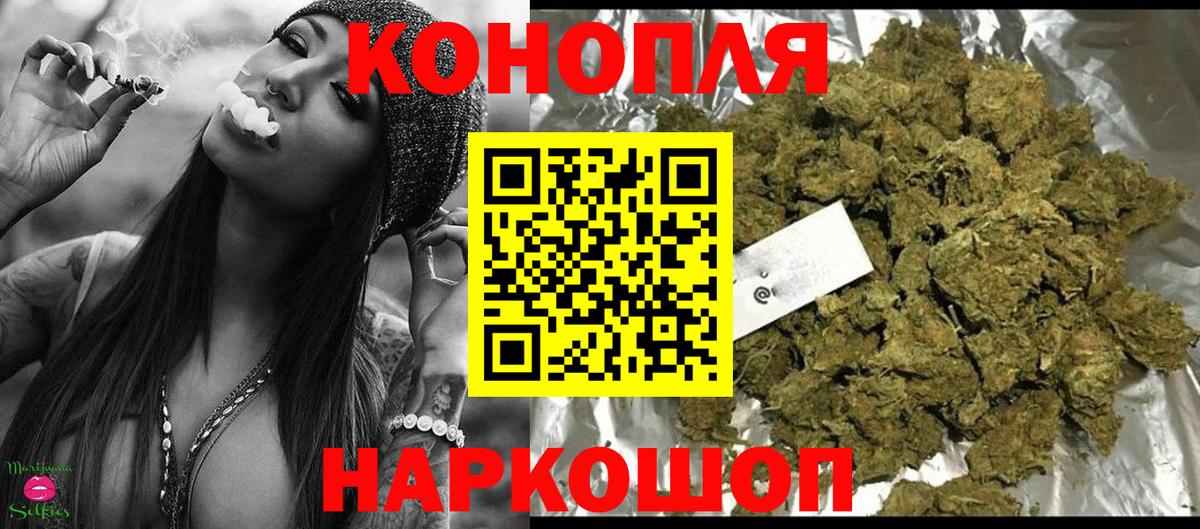 Шишки марихуана сатива Кинель